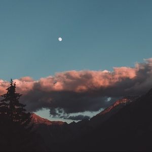 Meet your Posher, Taryn